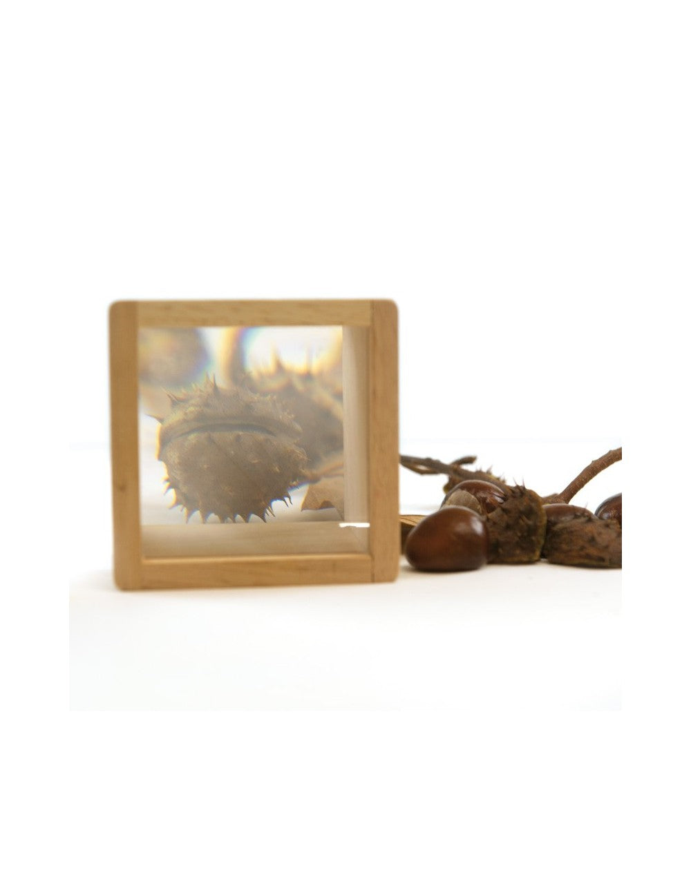 6 Pieces Magnifier Cases