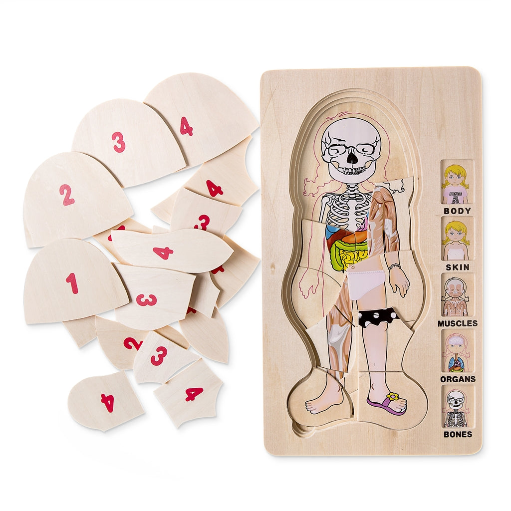 5 Layer Puzzle, Girl