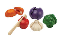 5 Colors Veggie Set