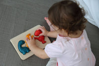 Dino Puzzle