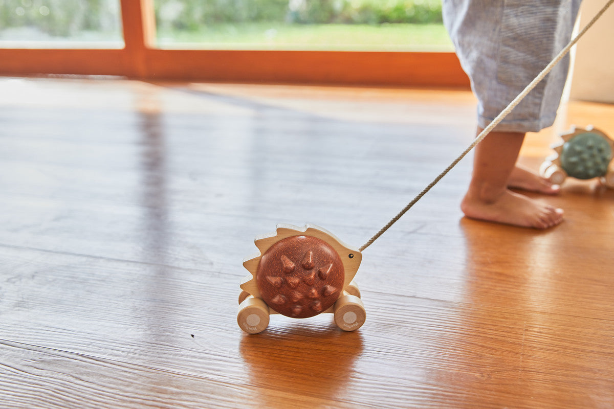 Pull - Along Hedgehog - Brown