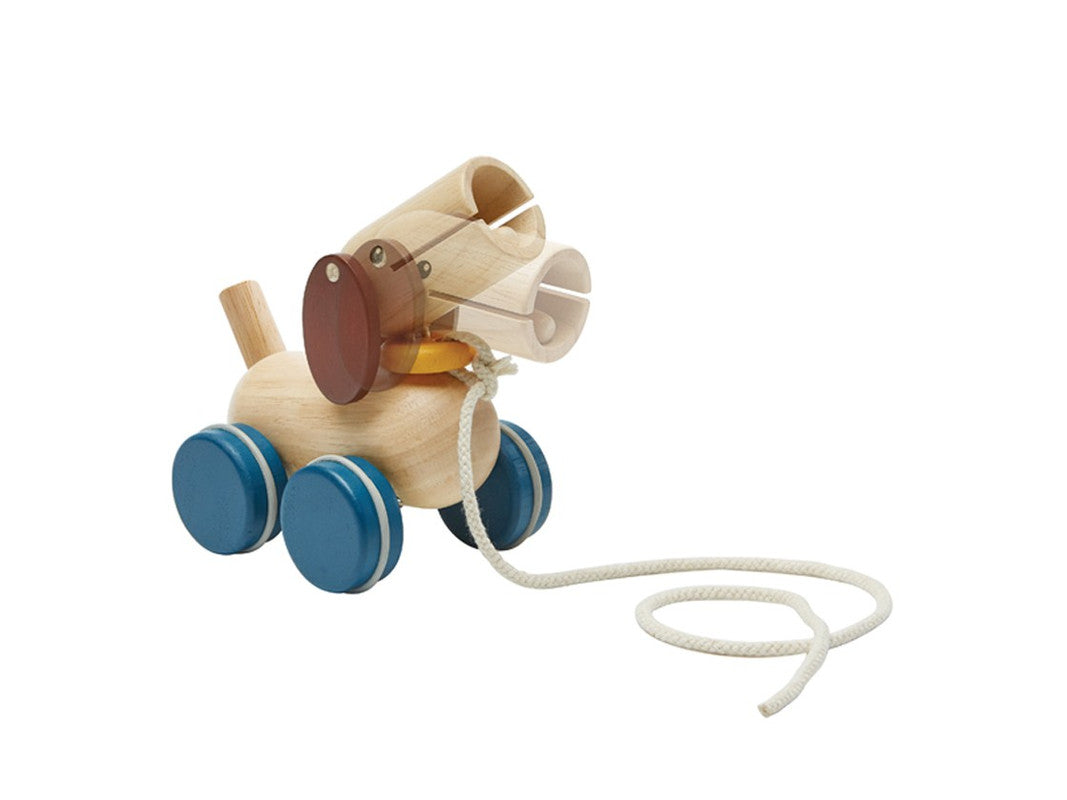 Push And Pull Puppy
